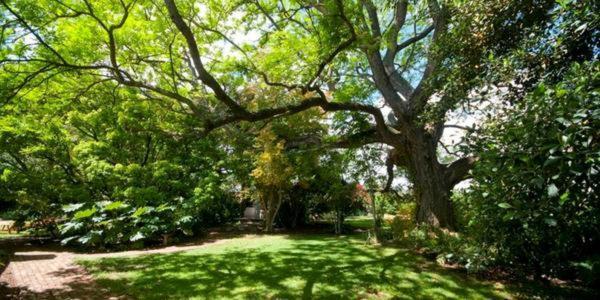 Lupus Den Country House B&B Sunland Exterior foto
